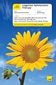 Teach Yourself Cognitive Behavioural Therapy (Teach Yourself: Relationships & Self-Help)