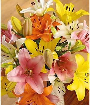 Luxury Lilies