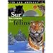 Sur les traces des f�lins (1DVD)