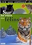 Sur les traces des f�lins (1DVD)