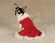 Dog Dress - Mrs. Claus Velvet Dog Dress is Perfect for Christmas - XX-Small (XXS)