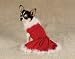 Dog Dress - Mrs. Claus Velvet Dog Dress is Perfect for Christmas - X-Small (XS)