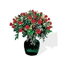 Rose Lovers Deluxe Bouquet