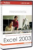 Microsoft Excel 2003 Instructor-based Video Training - Beginner