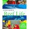 TOP MARINE LIFE FIELD GUIDES
