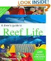 A Diver's Guide to Reef Life