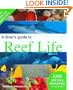 A Diver's Guide to Reef Life