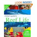 A Diver's Guide to Reef Life