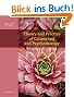 Theory and Practice of Counseling and Psychotherapy (Psy 641 Introduction to Psychotherapy)