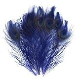10 x Peacock Feathers Dyed Blue