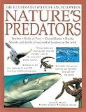 Nature s Predators (The Illustrated Wildlife Encyclopedia, Snakes*Birds of Prey*Crocodilians*Sharks*Secrets and Skills of successful hunters in the wild)