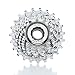 Campagnolo Mirage UD 10-Speed Steel Road Bicycle Cassette