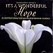 It's a Wonderful Hope: 22 Inspirational