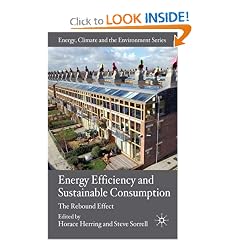 Energy Efficiency and Sustainable Consumption: The Rebound Effect (Energy, Climate and the Environment)