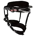 Metolius Safe Tech All-Around Harness
