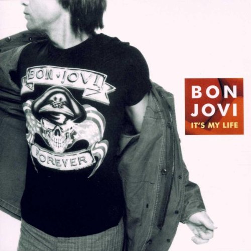 Bon Jovi-Its My Life (2003)-(06024 9815274 4)-CDM-FLAC-2003-WRE Download