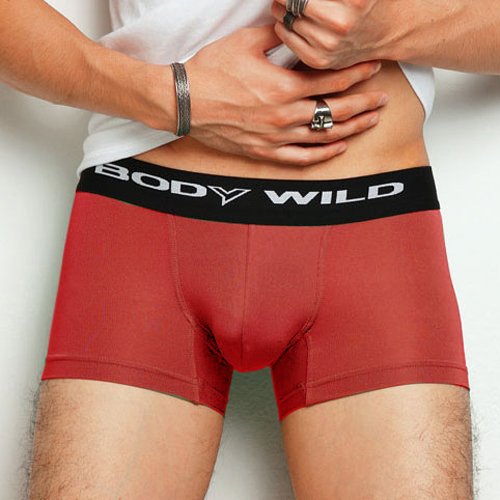 【新色追加】グンゼ BODY WILD ローライズボクサー （ボクサーパンツ） 前閉じ BW2995N