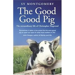 The Good Good Pig