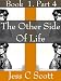 Cyberpunk Elven Trilogy (Elves, Urban Fantasy, Book 1, Part 4, The Other Side of Life) (Cyberpunk Elven Trilogy (Pre-Final Version)) Cover