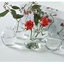 Asian Array Bud Vases - Set Of 5, SET OF 5, CLEAR