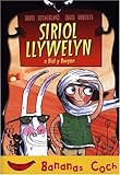 Siriol Llywelyn a dial y bwgan