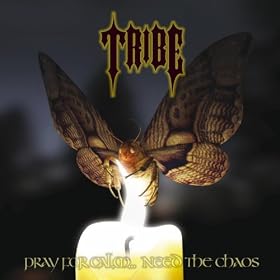 Pray for Calm ..Need the Chaos [Explicit]