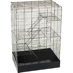 PETCO Rat Manor Habitat