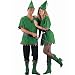 Robin Hood Costume (Men's Adult Costume)