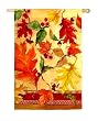 Colors of Fall Decorative Garden Flag
