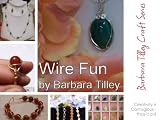 Wire Fun (Barbara Tilley Craft Series)