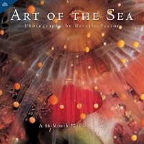 Art of The Sea 2010 Wall Calendar