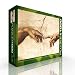 Michelangelo - Creation of Adam Jigsaw Puzzle 1000pc