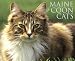 Search : Maine Coon Cats 2011 Wall Calendar
