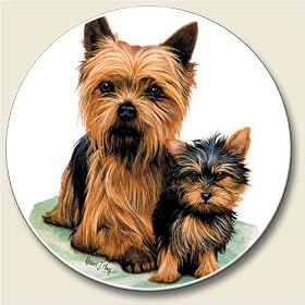 Yorkshire Terrier Auto Coaster, Single Coaster for Your Car by Highland Graphics Creative Ventures