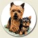 Kitchen & Housewares : Yorkshire Terrier Auto Coaster, Single Coaster for Your Car