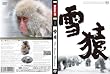 雪猿 ~The SnowMonkey~ スノーモンキー DVD