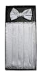 Cumberbund BowTie SILVER GRAY PAISLEY Men's Grey Cummerbund Bow Tie Set