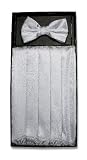 Cumberbund BowTie SILVER GRAY PAISLEY Men's Grey Cummerbund Bow Tie Set