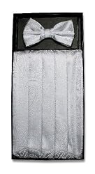 Cumberbund BowTie SILVER GRAY PAISLEY Men's Grey Cummerbund Bow Tie Set