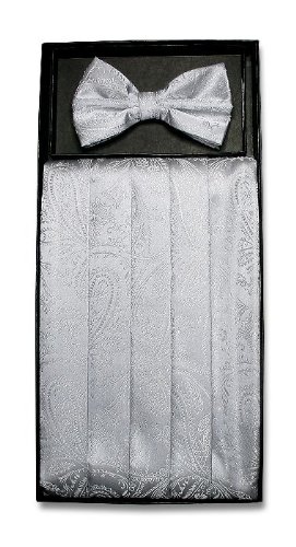 Cumberbund BowTie SILVER GRAY PAISLEY Men's Grey Cummerbund Bow Tie Set