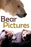 Bear Pictures