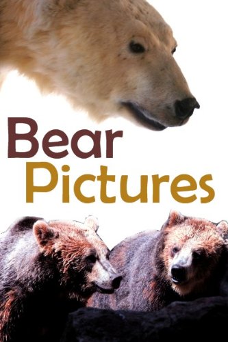 Bear Pictures