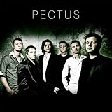 Pectus