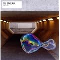 fabric 62: DJ Sneak