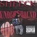 Intro Sheeck & B Creeze Churp