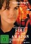 Fire on the Amazon