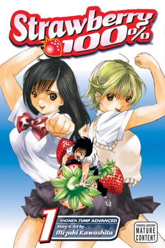 Strawberry Vol 1
