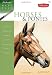 Horses & Ponies: Discover techniques for painting an array of horse and pony breeds in watercolor (Watercolor Made Easy) by Janet Griffin-Scott