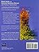Fundamentals of Chemistry