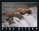 Posters: Ron Sanford Poster Art Print - The River (20 x 16 inches)